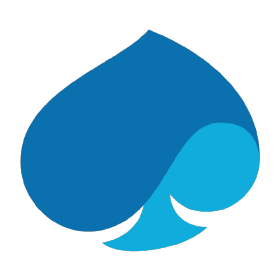 Capgemini logo