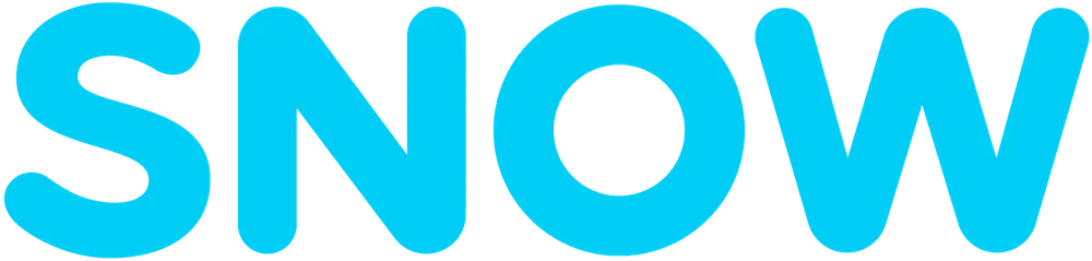 Snow logo