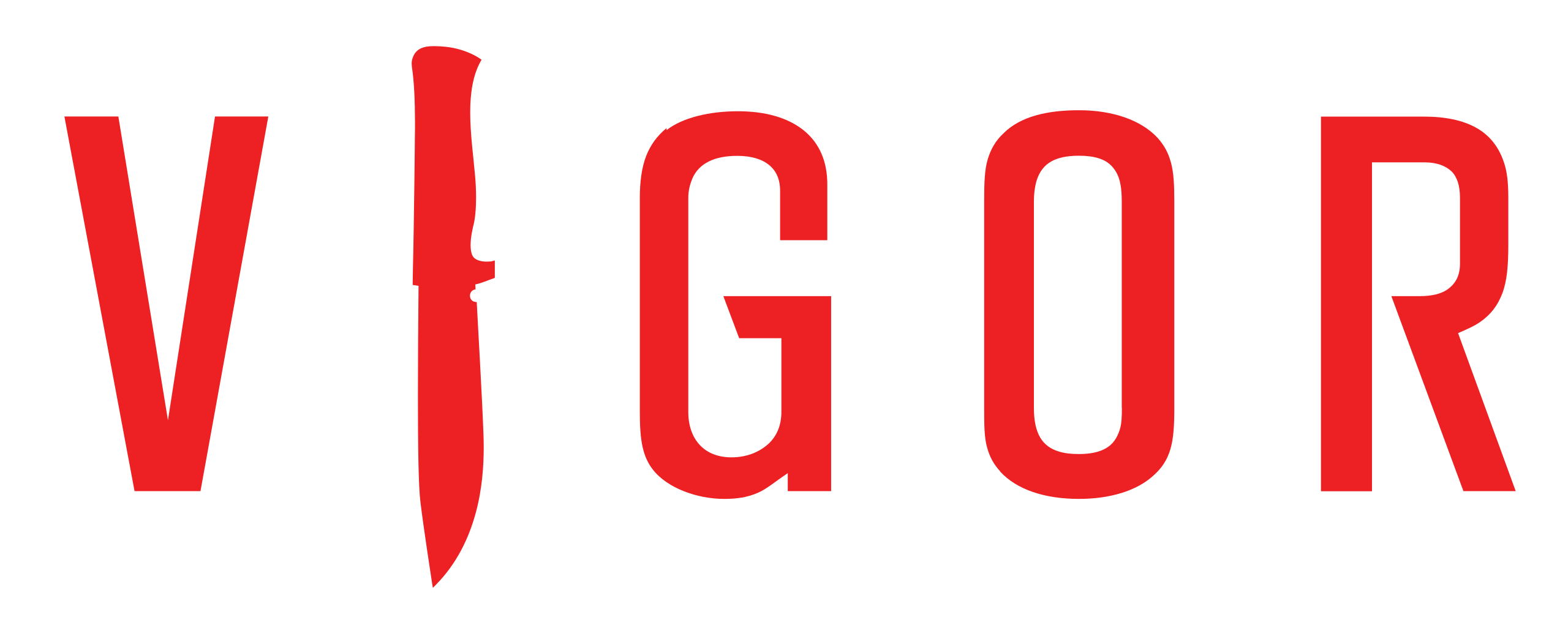 Vigor logo