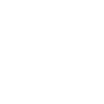 Emerson Radio logo